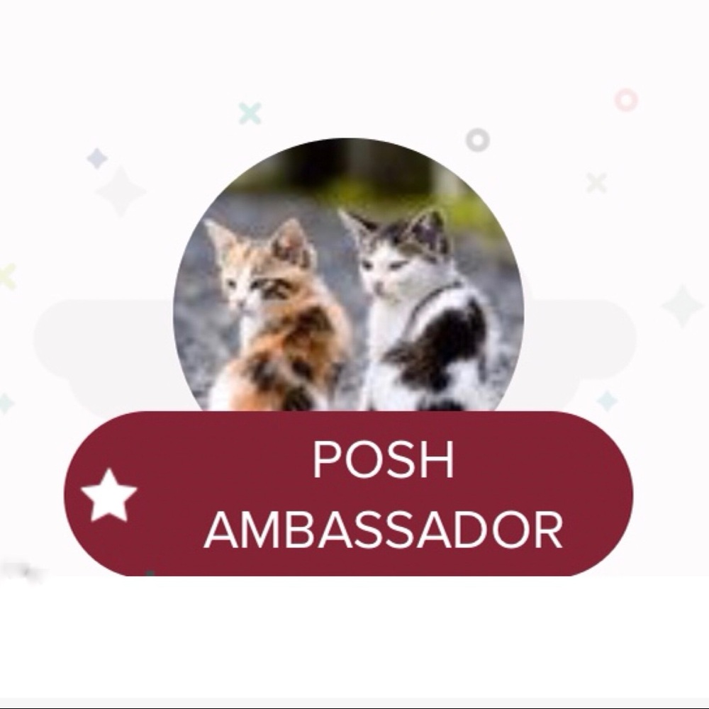 I’m a Posh Ambassador 🏅